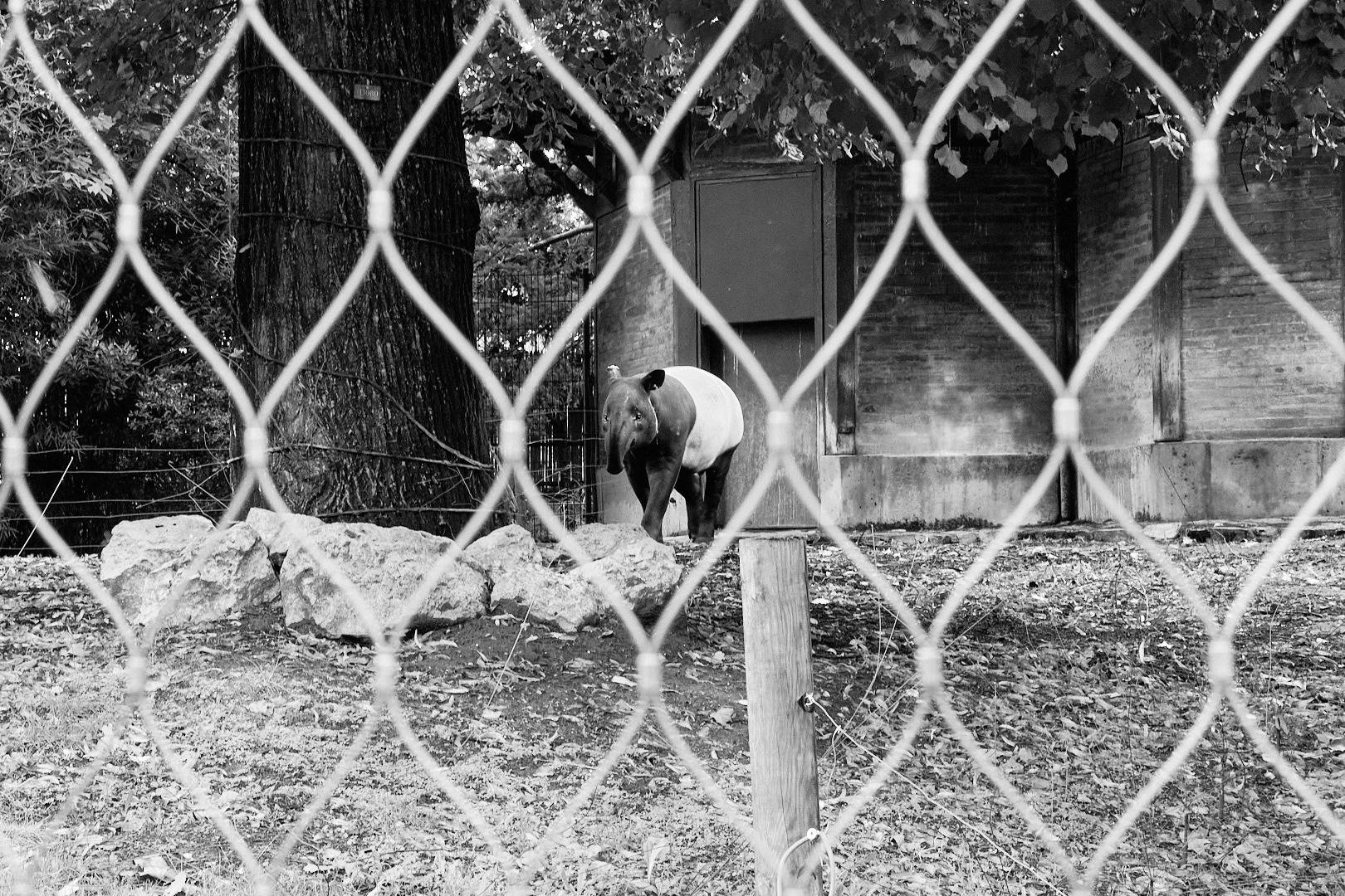 Reportage Captive | Les animaux en captivité